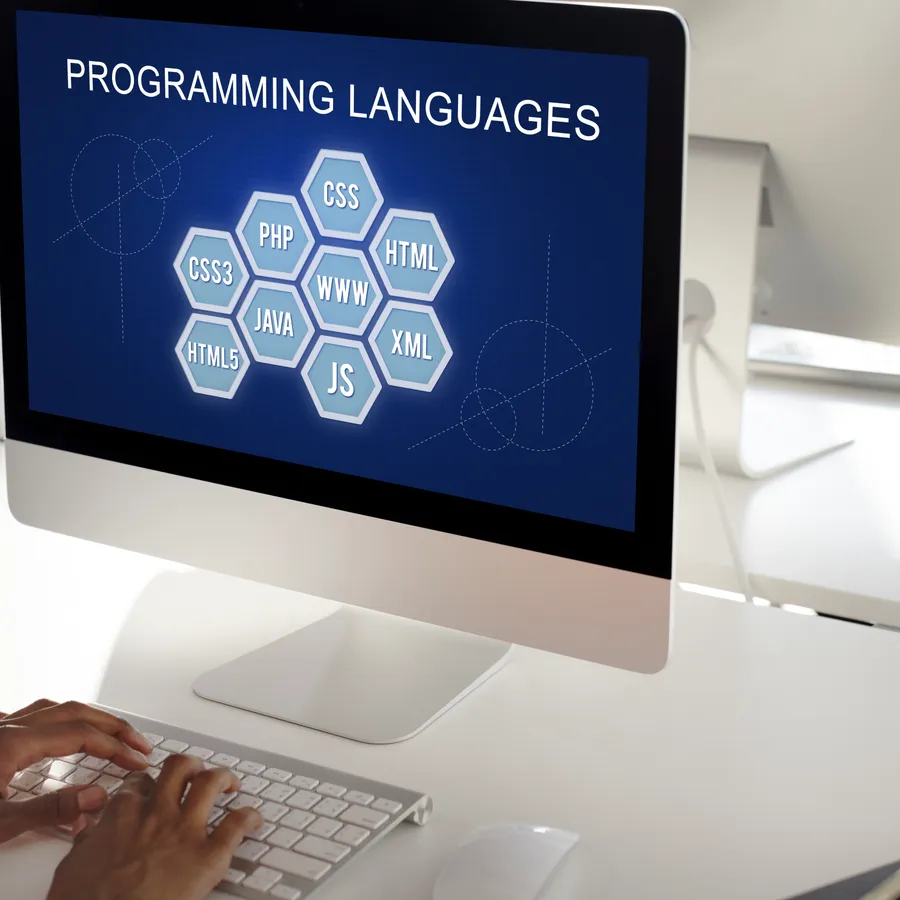 Programming language and software development